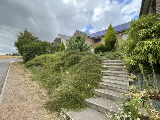 Débroussaillage d'un talus